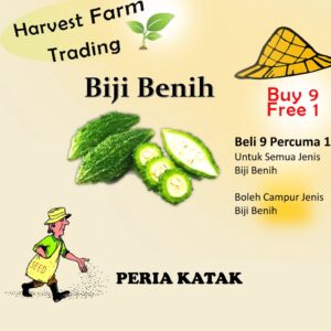Biji Benih Peria Katak 5 Biji Vegetable Seed Bitter Ground 小苦瓜种子  Family Seeds Plant Seed biji benih sayur sayuran pahit