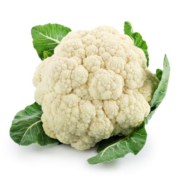 BIJI BENIH BROKOLI putih SEED 50Pcs- BROCOLI Benih SAYUR Bunga Kubis SAYURAN BUAH VEGETABLE white cauliflower BROCCOLI - Image 6