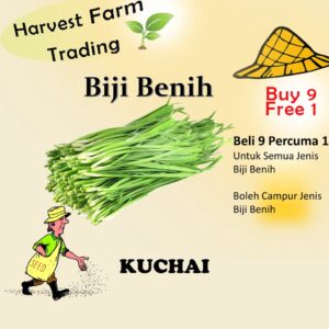 Biji Benih Kuchai Vegetable Seeds/FLOWER /BIJI BENIH SAYUR/BUNGA/BUAH-BENDI/KANGKUNG/TERUNG/CILI/SAWI/BAYAM/SEEDS/