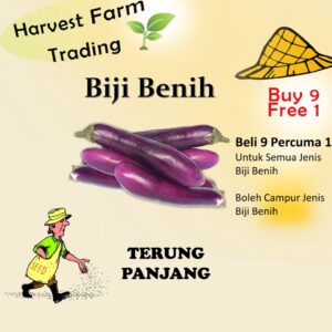 Biji Benih Terung Panjang 30 Biji  Vegetable Seed Eggplant茄子种子  Family Seeds Plant Seed