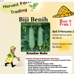 Biji Benih Kundur Bulu 10Pcs Biji Benih Kundur Bulu vegetables seed 蔬菜種子四季耐热 seeds kundur panjang winter melon bulat