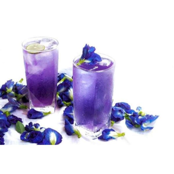 Benih Bunga Telang 10 biji Biji Benih Bunga Telang Butterfly Pea Flower seed Asian pigeonwings seeds 蓝花种子 bluebellvine - Image 8