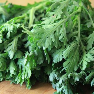 350Pcs +- Biji Benih Tong Hao/Small Leaf Crown Daisy Seed/小叶茼蒿菜种子/Chrysanthemum Coronarium Emperor Dish Seeds kekwa