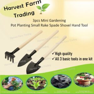 Set Of 3 Mini Garden Plant Tools Gardening Tool Spade,Shovel,Rake alat pertanian mini Sudok, Sudip, Garu alatan tanam