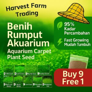 Aquarium Grass Seed 5Gram Water Plant 95% Germination Benih Rumput Akuarium Mudah Tumbuh benih rumput air