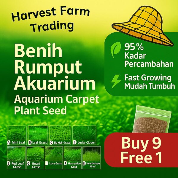 Aquarium Grass Seed 5Gram Water Plant 95% Germination Benih Rumput Akuarium Mudah Tumbuh benih rumput air