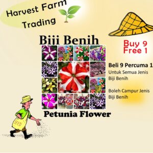 150Pcs +-Biji Benih Bunga Petunia campur Flower seeds Mix Petunia 花种子 混色矮牵牛花 Bunga Petunia Flower Seed petunia seed