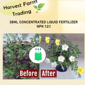LIQUID FERTILIZER 38ML NUTRIENT SOLUTION NPK 1:2:1 CONCENTRATED PLANT NUTRITION FOR FLOWER baja cecair air pekat 肥料液体营养液