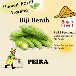 Biji Benih Peria 6 Biji Vegetable Seed Bitter Ground苦瓜种子  Family Seeds Plant See
