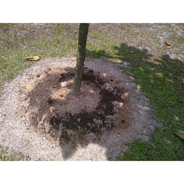 Baja tahi ayam proses 1KG Baja subur pokok bunga buah tumbuhan organik taik tinja 雞糞肥 有机天然肥料蔬菜花 organic fertilizer plant - Image 4