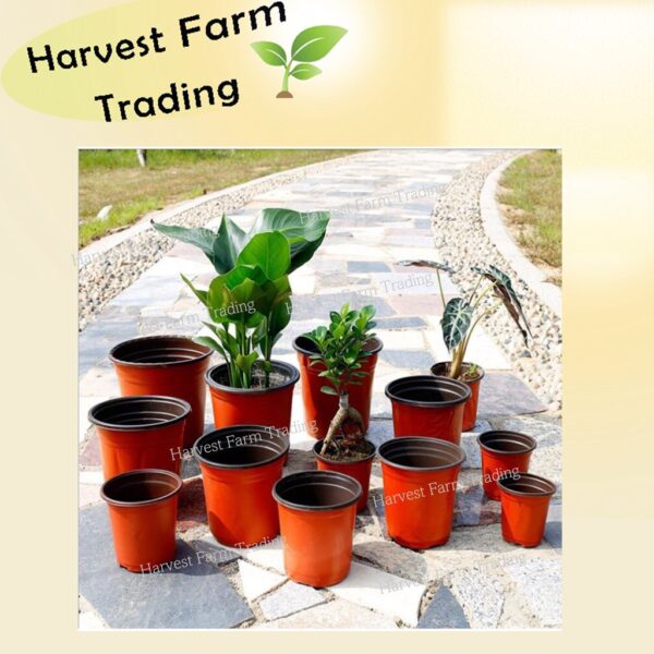 pasu bunga plastik besar flower pot plant Disposable Ultra Thin felton big tinggi small hanging wall pots pokok hiasan花盆 - 图片 6