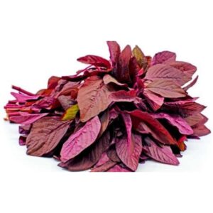 Biji Benih Bayam Daun Merah Penuh 100pcs+- sayur sayuran pelbagai vegetable seed spinach seeds red amaranth 蔬菜种子四季耐热種子植物