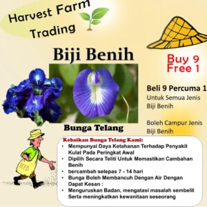 Benih Bunga Telang 10 biji Biji Benih Bunga Telang Butterfly Pea Flower seed Asian pigeonwings seeds 蓝花种子 bluebellvine