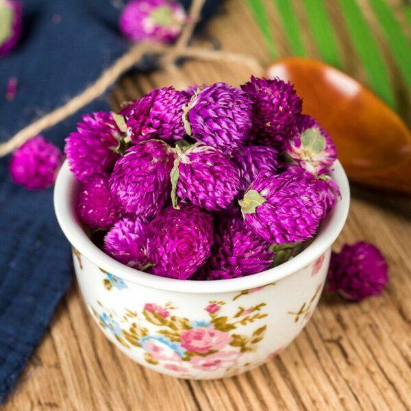 Biji Benih Bunga Butang 20Pcs+- Gomphrena globosa Globe amaranth Seeds Biji Benih 千日红 千日粉 千日紫 千日白 种子 daisy四季耐热花種子 rose - Image 6