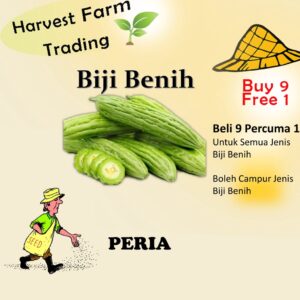 Biji Benih Peria 6 Biji Vegetable Seed Bitter Ground Bitter Ground 苦瓜种子  Family Seeds Plant Seed
