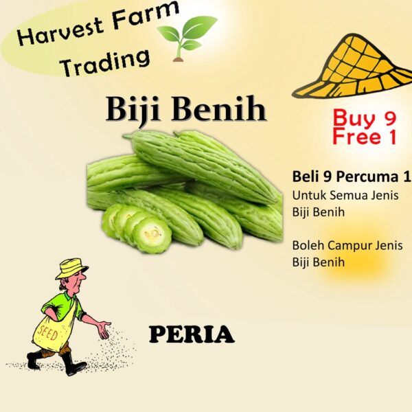 Biji Benih Peria 6 Biji Vegetable Seed Bitter Ground Bitter Ground 苦瓜种子  Family Seeds Plant Seed