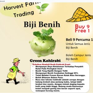 Biji Benih Lobak Hijau 20 Pcs +- German turnip seeds vegetables benih sayur sayuran 大头菜種子 蔬菜種子 benih kohlrabi hijau vege