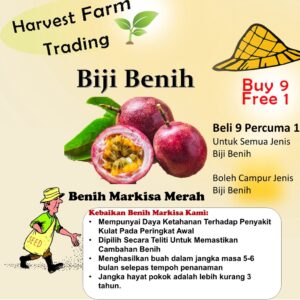 Benih Buah Markisa 10Pcs Passion Fruit Seeds Plant Passiflora seed 百香果种子水果種子 biji bibit markisa merah anak pokok sayuran