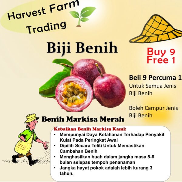 Benih Buah Markisa 10Pcs Passion Fruit Seeds Plant Passiflora seed 百香果种子水果種子 biji bibit markisa merah anak pokok sayuran