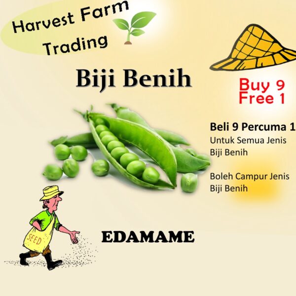 Biji Benih Endamame10 Biji Vegetable Seed Kacang Jepun  毛豆种子  Seeds Plant Seed  Biji Benih Kacang Bulu / Edamame beans