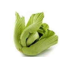 Biji Benih Sawi Pahit Mustard Heading 150 Pcs Mustard Heading Green Shell seed 包心芥菜种子 benih sayur sayuran vegetables