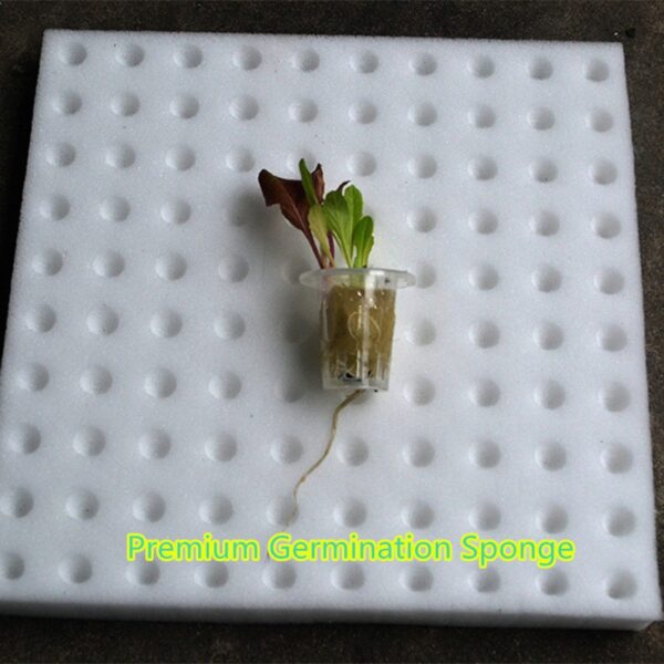Hydroponic Set Sponge rockwool Hidroponik sponge Span pot system pipe Germination seedling starter kit plant seeds benih - Image 5