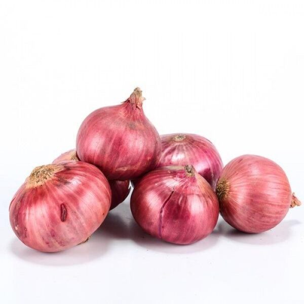 Biji Benih Bawang merah Besar 50 Pcs Benih Sayur sayuran seed 四季植物蔬菜洋葱种子  red big red onion seeds bunga thai baja pokok - 图片 6
