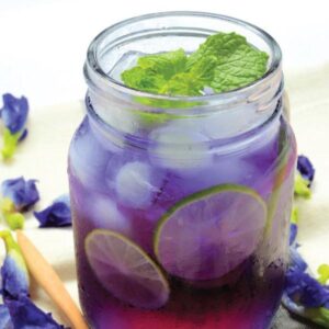 Benih Bunga Telang 10 biji Biji Benih Bunga Telang Butterfly Pea Flower seed Asian pigeonwings seeds 蓝花种子 bluebellvine