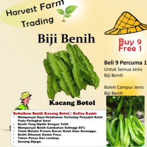 BIJI BENIH KACANG BOTOL 8Pcs RENEK / ASAPARAGUS PEA BOLEH TANAM DALAM PASU kacang kelisa vegetable seed 四角豆种子蔬菜種子 sayur