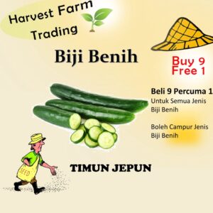 Biji Benih Timun Jepun 10 Biji Vegetable Seed CucumberJepun 日本黄瓜种子  Family Seeds Plant Seed