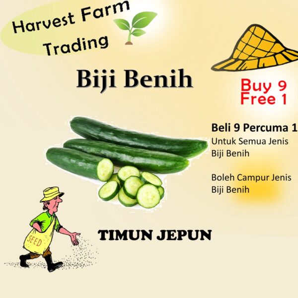 Biji Benih Timun Jepun 10 Biji Vegetable Seed CucumberJepun 日本黄瓜种子  Family Seeds Plant Seed