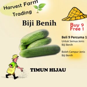 Biji Benih Timun Hijau 10 Biji Vegetable Seed Cucumber  Cucumber 黄瓜种子  Family Seeds Plant Seed