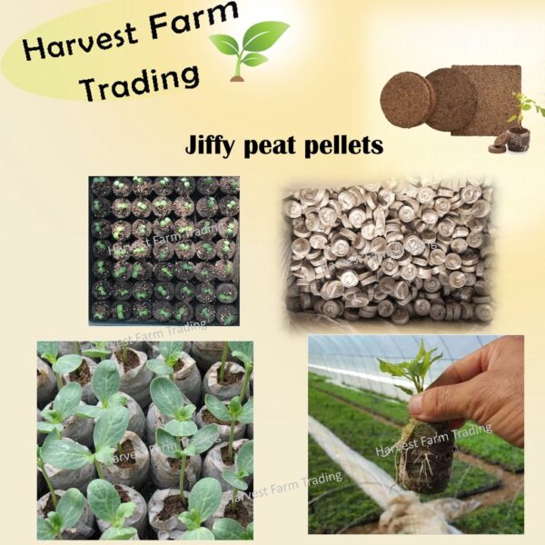 Jiffy Peat Pellet 5 Saiz 30mm 44mm Seed Starting Pallet Media Semai Benih Soil cocopeat Block Garden Seed Starter tanah - Image 3