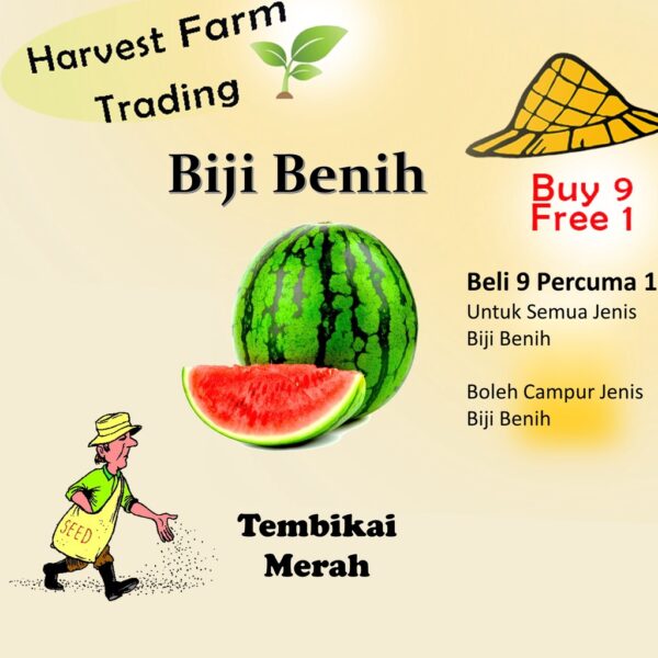 Biji Benih Tembikai Merah 5 Biji Vegetable Seed Watermelon 西瓜种子蔬菜花種子 bij benih sayur sayuran murah pelbagai seedless ros