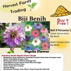 Biji Benih Bunga Nigella 40Pcs +- Bunga Daisy Dahlia zinnia bunga raya sunflower seeds rose 黑种草种子蔬菜花種子四季耐热 rose 太阳花向日葵玫瑰
