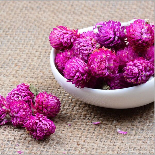 Biji Benih Bunga Butang 20Pcs+- Gomphrena globosa Globe amaranth Seeds Biji Benih 千日红 千日粉 千日紫 千日白 种子 daisy四季耐热花種子 rose - Image 8