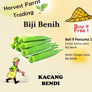 Biji Benih Bendi 30 Pcs Vegetable Seeds/FLOWER /BIJI BENIH SAYUR/BUNGA/BUAH/TERUNG/CILI/SAWI/BAYAM/SEEDS/ Vegetable seed