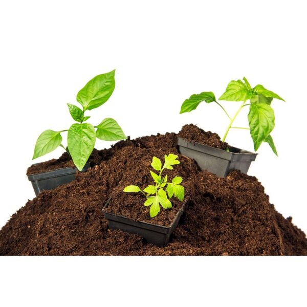 PeatMoss Soil / Seeding Substrate Soil Medium Semaian 泥碳土 import PEATMOSS HOLLAND TANAH SEMAIAN SEEDLING soil kekkila - Image 7