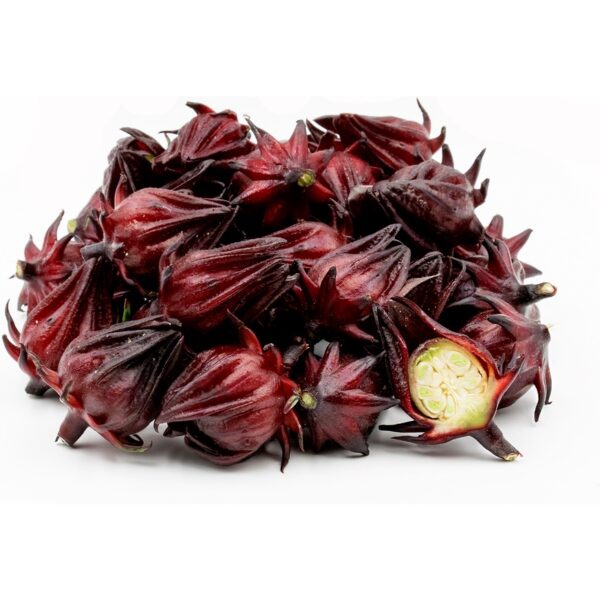 Biji benih roselle seeds 20Pcs ribena bancuh air 洛神花种子四季耐热蔬菜种子 roselle morocco rozel seed benih sayur sayuran vegetables - Image 8
