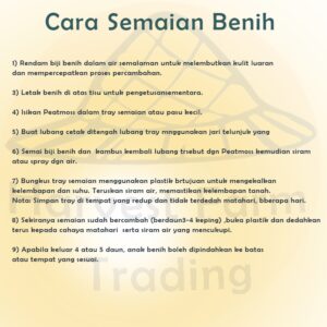 10pcs Biji Benih Timun Tua 10pcs Biji Benih Timun Tua / Old Chinese Cucumber Seeds / 老黄瓜种子 Vegetables Seeds Cucumis sati
