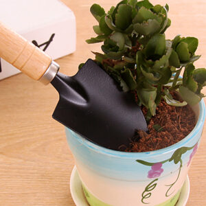 Set Of 3 Mini Garden Plant Tools Gardening Tool Spade Shovel Rake 迷你园艺工具三件套 Garden Plant Tools Gardening Tool set
