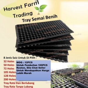 Seedling Tray 21 32 50 72 104 105 128 200 Holes Plastic Nursery Tray Bekas Benih Plastic Tray Benih Semaian 育苗盘 育苗 tapak