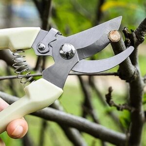 Garden Scissors Pruning Shears Cutter Cutting Pruning High Quality Shear Gunting Bunga Pokok 园林果树花枝嫁接园艺剪刀工具