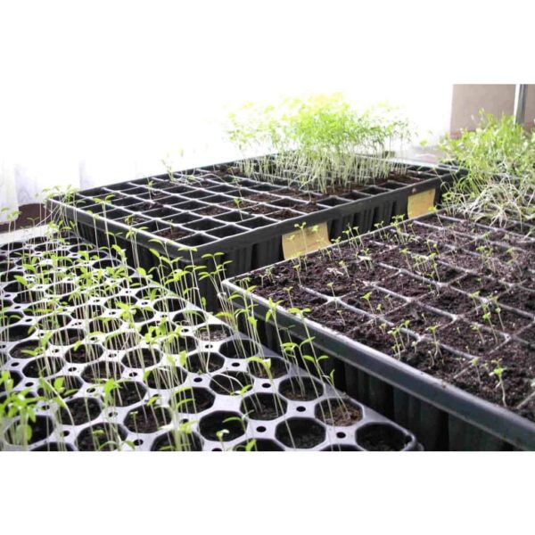 Seedling Tray 21 32 50 72 104 105 128 200 Holes Plastic Nursery Tray Bekas Benih Plastic Tray Benih Semaian 育苗盘 育苗 tapak - Image 4
