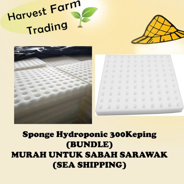 Hydroponic Sponge 400pcs BUNDLE rockwool Hidroponik sponge Span pot system pipe Germination seedling plant seeds benih
