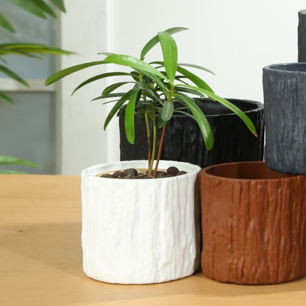 Tiruan log pasu bunga succulent resin plastik besar kecil pasu bunga balkoni bekas花盆 - Image 2