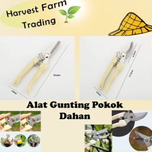 Garden Scissors Pruning Shears Cutter Cutting Pruning High Quality Shear Gunting Bunga Pokok 园林果树花枝嫁接园艺剪刀工具
