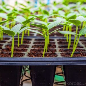 Seedling Tray 21 32 50 72 104 105 128 200 Holes Plastic Nursery Tray Bekas Benih Plastic Tray Benih Semaian 育苗盘 育苗 tapak