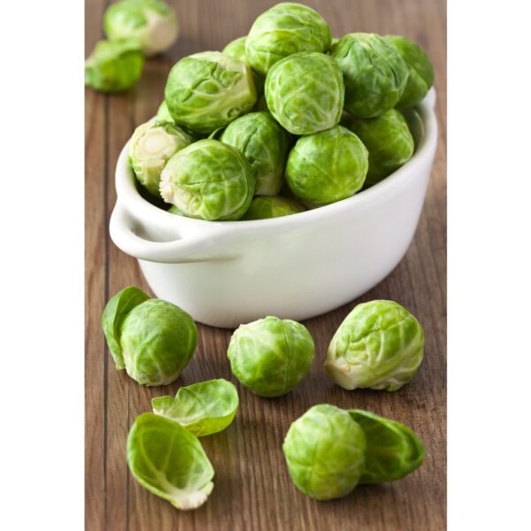 Benih Kubis Baby Brussel Sprout 50pcs+- Baby Cabbage seed 孢子甘蓝种子 biji benih sayur sayuran 水果植物蔬菜 種子 vegetable seed - Image 2