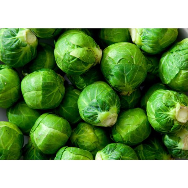 Benih Kubis Baby Brussel Sprout 50pcs+- Baby Cabbage seed 孢子甘蓝种子 biji benih sayur sayuran 水果植物蔬菜 種子 vegetable seed - Image 6